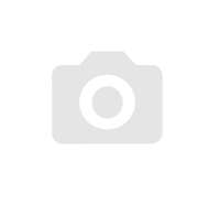 11 Pro Fold